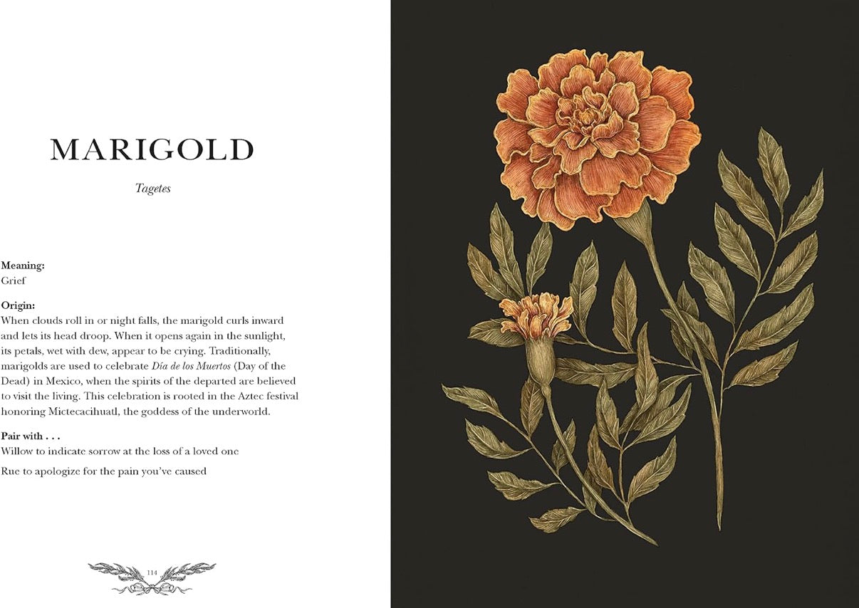 Floriography | The Language of Flowers by Jessica Roux