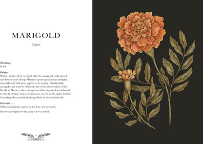 Floriography | The Language of Flowers by Jessica Roux
