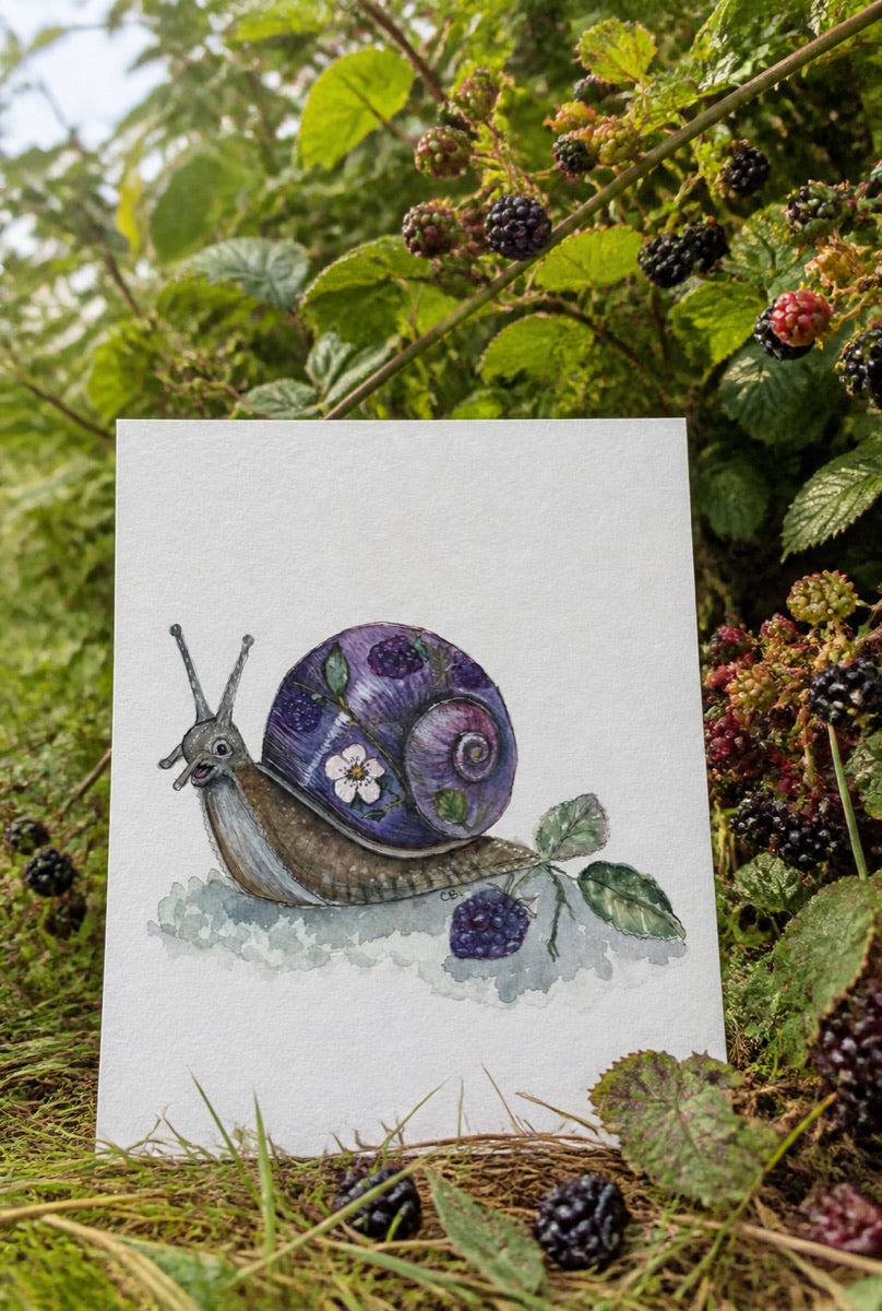 Bramble Snail art print beside a blackberry path with berries at different stages of ripeness