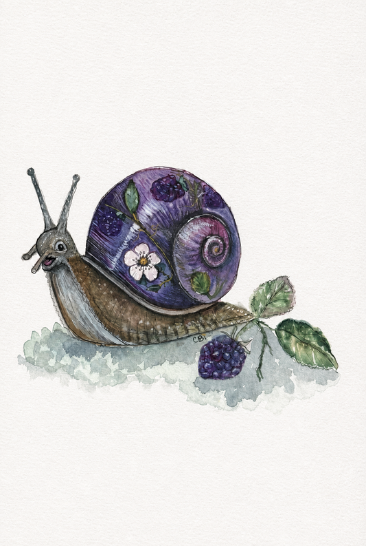 Bramble Snail watercolor and ink art print with a blackberry branch and purple shell