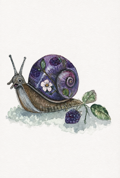 Bramble snail watercolor artwork