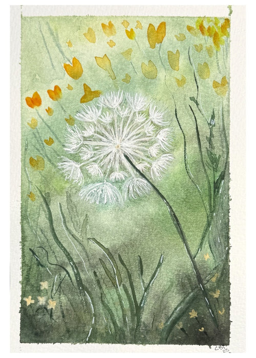 Front of a blank dandelion greeting card featuring a white seed head, soft green grasses and golden-yellow watercolor flowers.