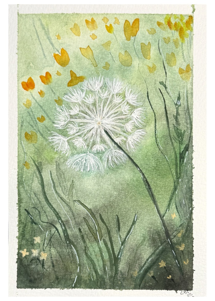 Front of a blank dandelion greeting card featuring a white seed head, soft green grasses and golden-yellow watercolor flowers.