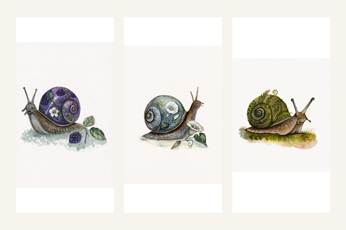 Clean side-by-side view of Bramble, Moonflower, and Ferncurl Snail watercolor and ink fine art prints
