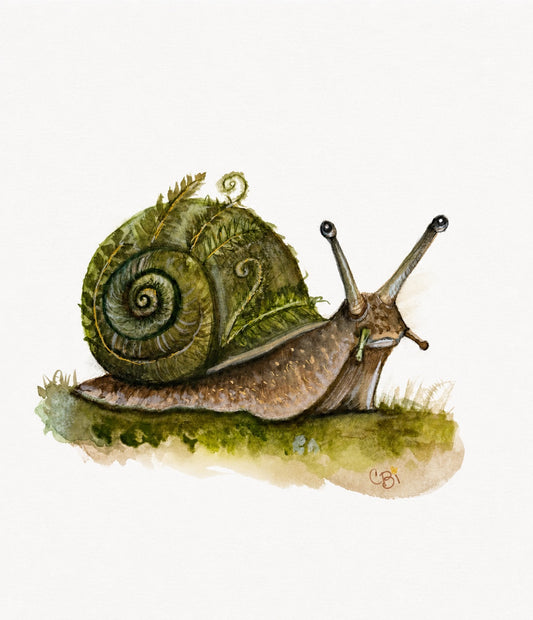Ferncurl Snail watercolor and ink art print with a fern-patterned shell and mossy green woodland ground