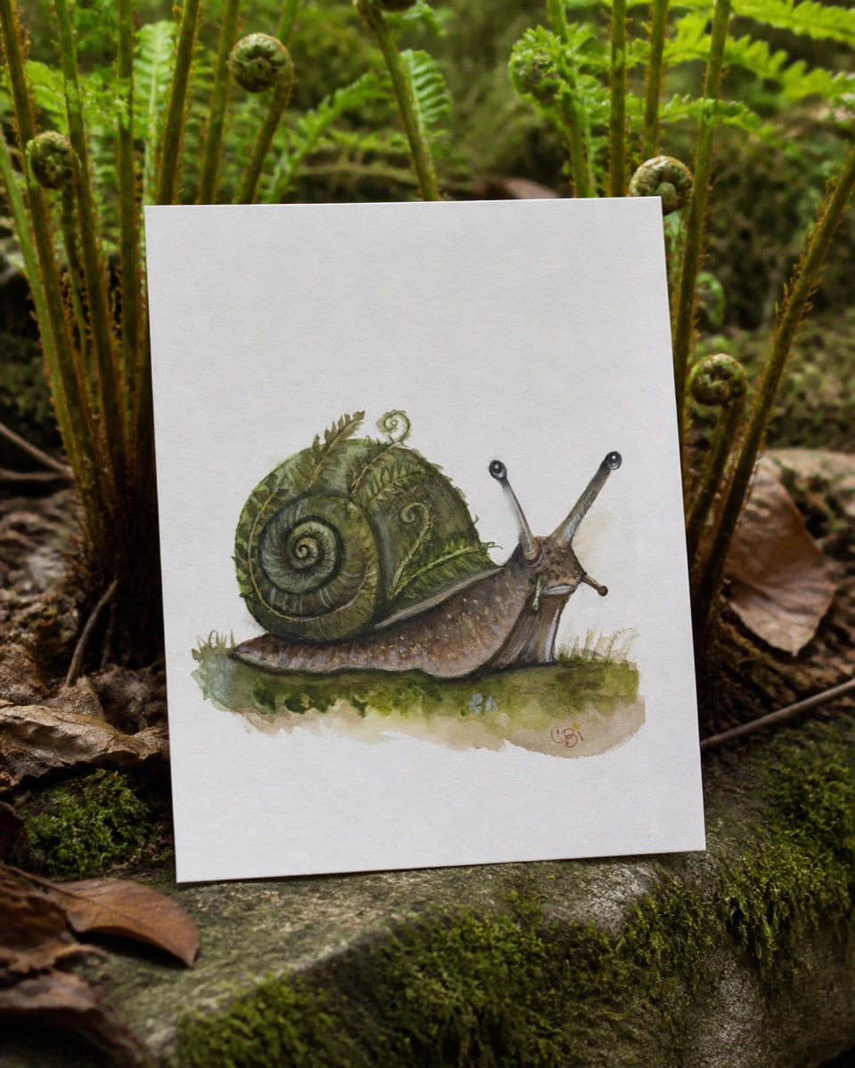 Ferncurl greeting card in a woodland correspondence scene with ferns and moss