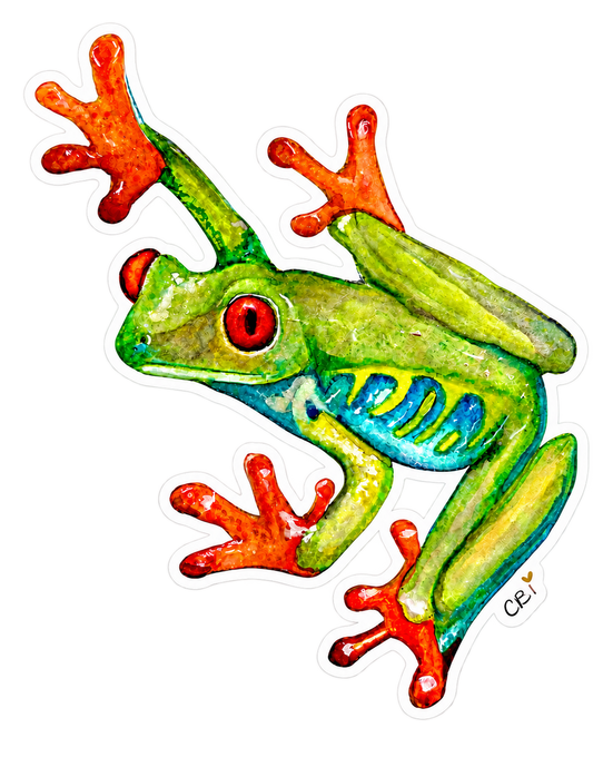 Red-eyed watercolor frog die-cut vinyl sticker with white border and artist signature