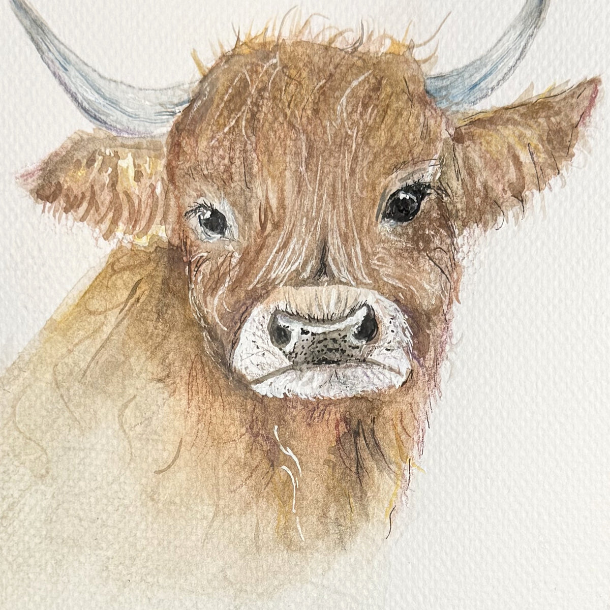 Close-up of the Highland cow’s eyes, shaggy fringe and muzzle, showing watercolor brushwork and paper texture.