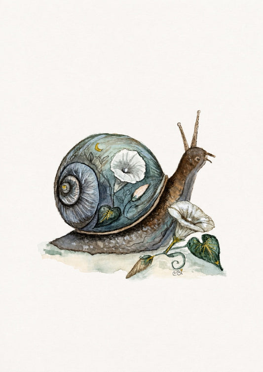 Moon snail watercolor artwork