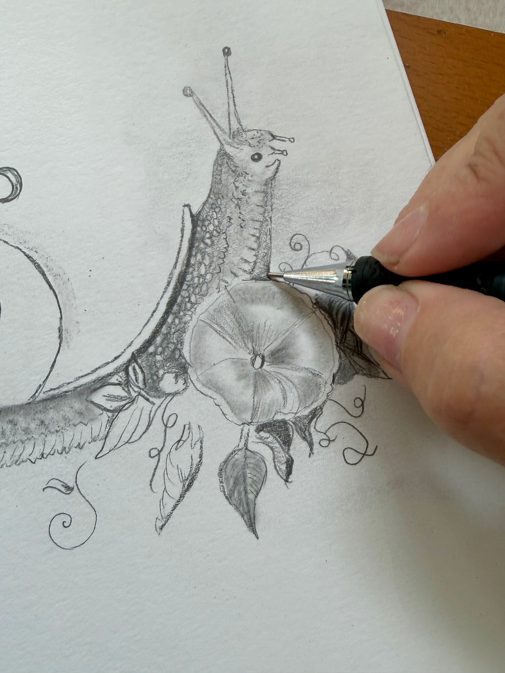 The artist’s hand shades a snail beside a moonflower with a mechanical pencil.