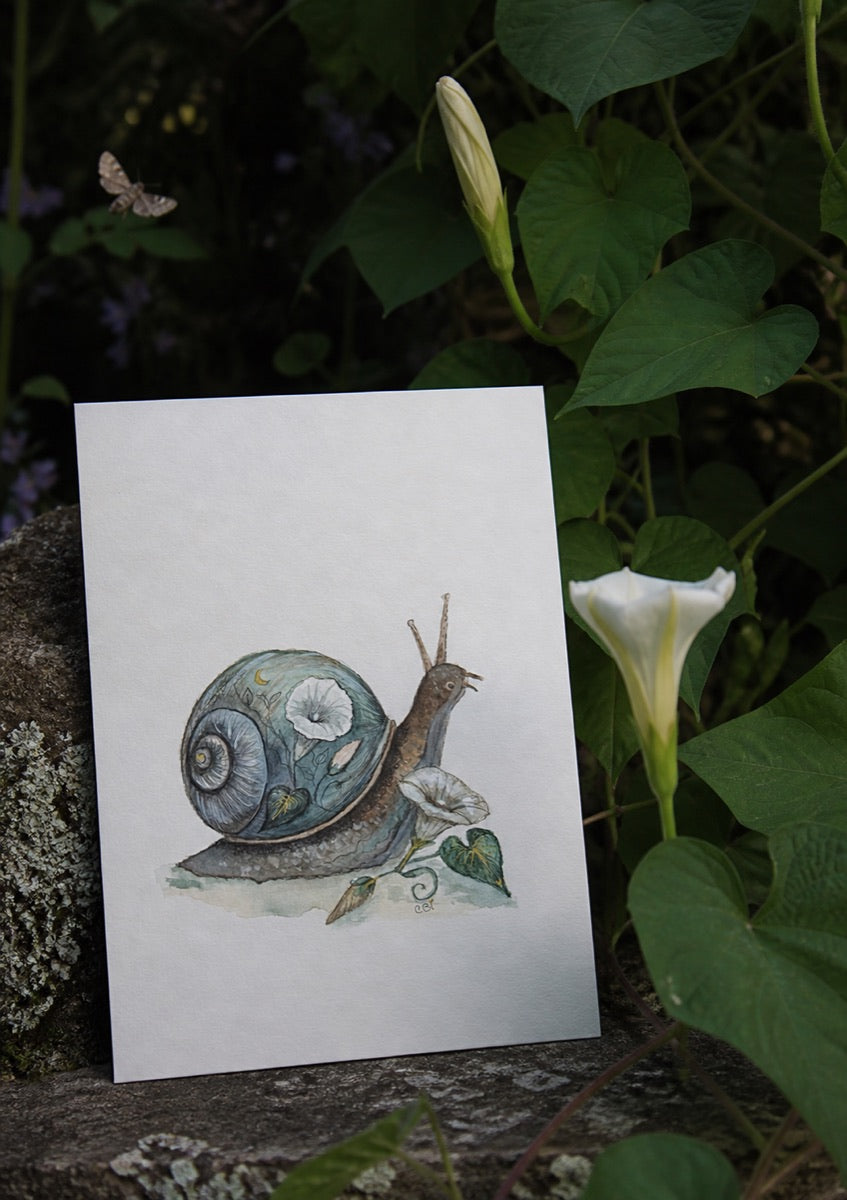 Moonflower Snail art print displayed beside an opening white moonflower in a softly lit evening garden